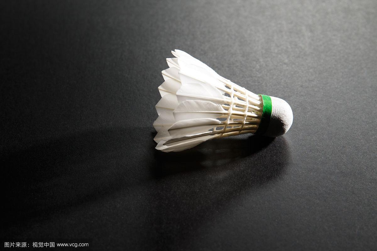 追逐梦想的 追逐梦想的