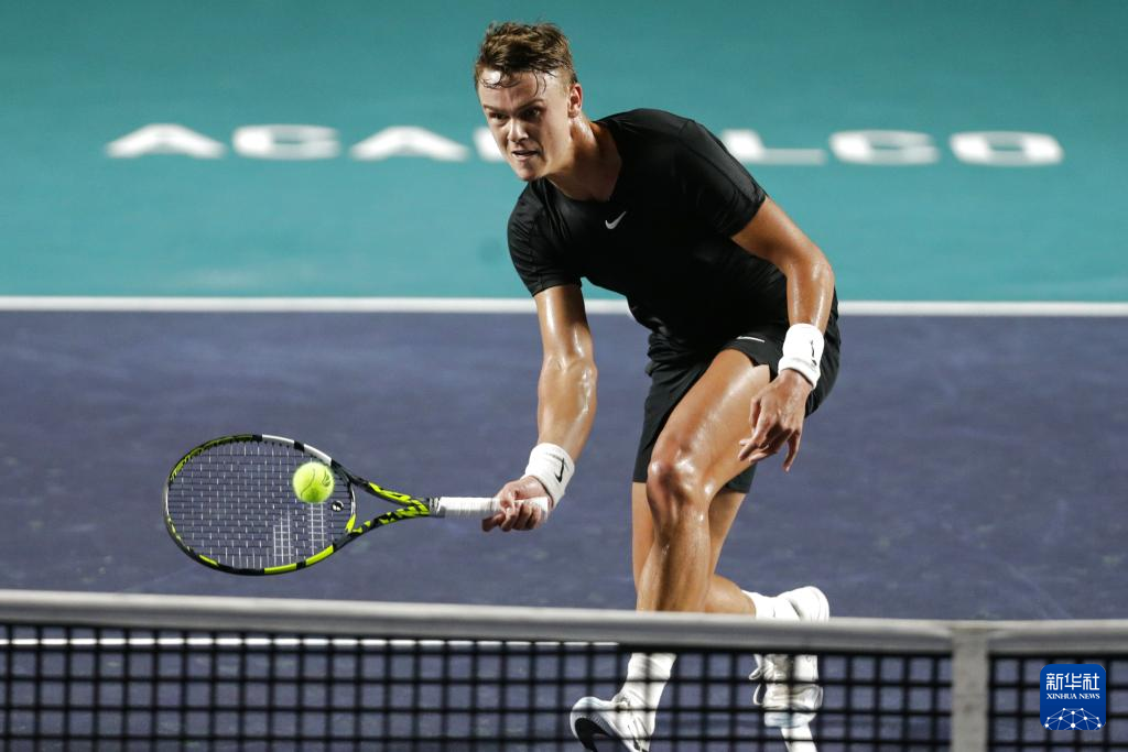 初秋的清晨 初秋的清晨