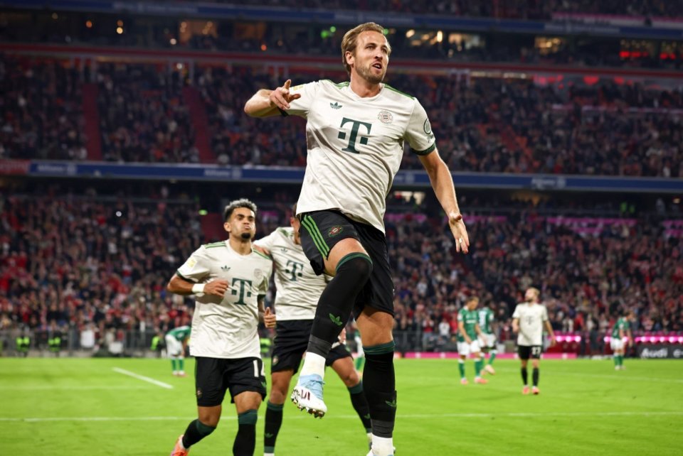 在延长期内 在延长期内