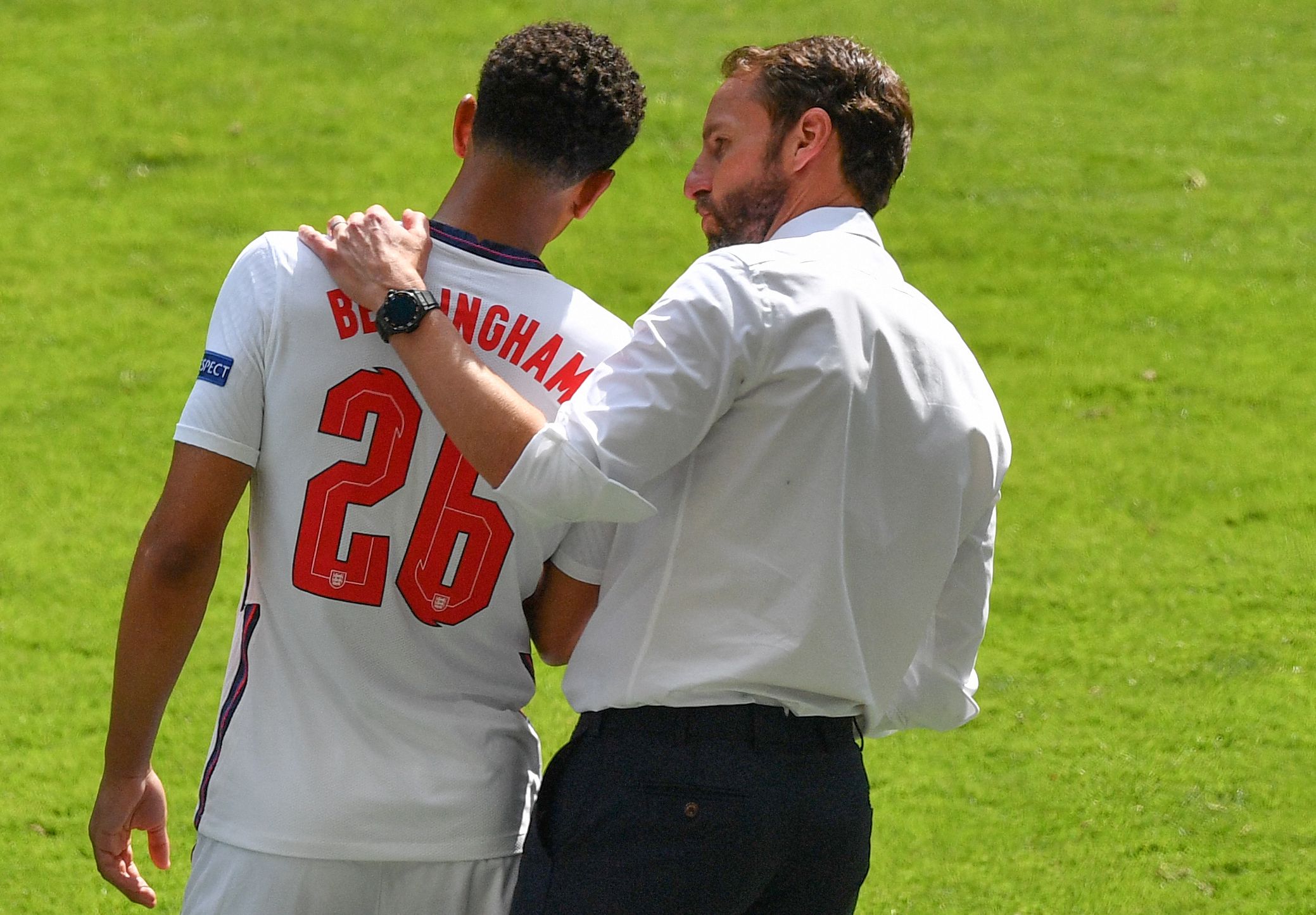 长尾联盟趋 长尾联盟趋